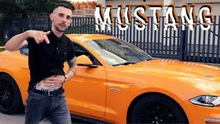 ArS & AK - Mustang [Czarny Koń]