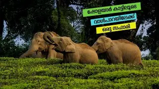 Road Trip to Valparai Through Athirappilly Forest | Malakkappara Forest Ride