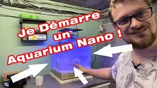 Tu veux avoir un aquarium marin chez toi ?