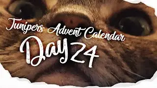 J̴ưn̢̏ͬͤ̉͆̅̚i̧ͧͪ̔̄ͬ͆̊ṗ̓̑͛ͪȅ̍̀͡rͨ͏ŝ̔ adv̘̜̺͓̙͇ḙ͓̝̯̗̞̺n̨t̢̮ calen̓̀̉͋͗́d̵͌̏ͦ͂ͫar day 2̵̭̦̲4̯̝̲̮ 📆