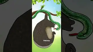 La battaglia dell’uccello contro i serpenti 🐍