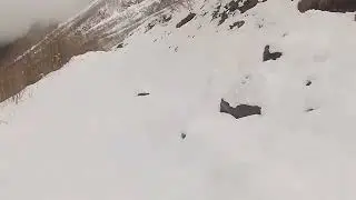 Пухляк, первым следом   НА ВЕЛИКЕ