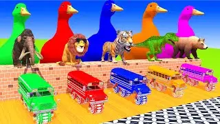 5 Giant Duck Cartoon, Cow, Mammoth Elephant, Pig, Gorilla, Zebra, Transfiguration funny animal 2023