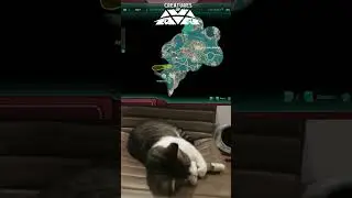 Just a cat enjoying her unicorn