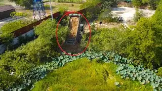 Nice Action Clearing Tree With Bulldozer And Dump Truck 5tons Making Road Round Pond