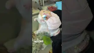 This Hamster Hid Her Baby in Her Cheek… And It Almost Didn’t Make It