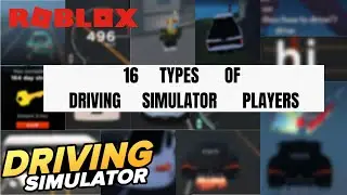 16 Types Of Driving Simulator Players