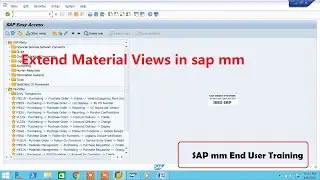 Extend Material Views in sap mm