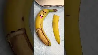 Goodland | Banana Surgery 😳 