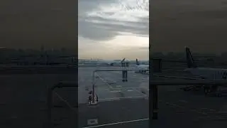 Dubai Plane Spotting