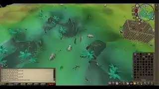 OSRS Lost City Walkthrough