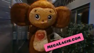 Pekausis Чебурашка Cheburashka MegaLacis Apsveikumi Riga Поздравления Рига Greetings Riga Mascots