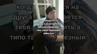 #мемы