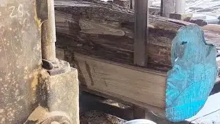 special short teak wood from Blora #woodworking #russia #america #korea #india