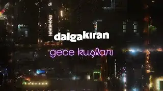 Dalgakıran - Gece Kuşları