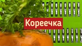 Разбор вопросов про «корейскую тёрку» серия 