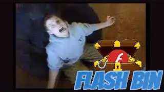 Flashbin: Adventures in Game Land