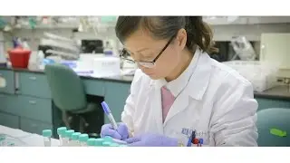 The Wanek Family Project to Cure Type 1 Diabetes at City of Hope