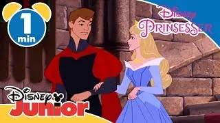 Tornerose | Prinsen og prinsessens dans - Disney Junior Danmark