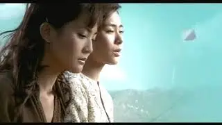 蔡卓SA -  風爭與風