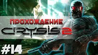Игра в игру: CRYSIS 2 #14