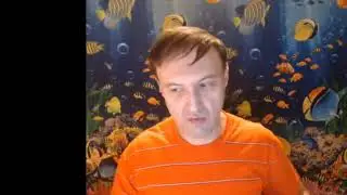 Как завязать отношения с девушкой? Вероятность найти 