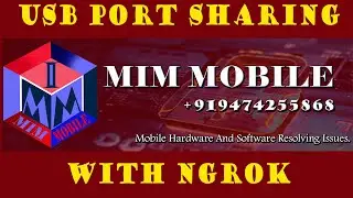 How To Use NGROK and USB Redirector For Port Sharing