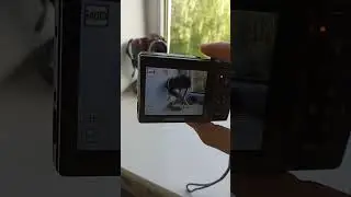 💥Camera digital Olympus X-21💥