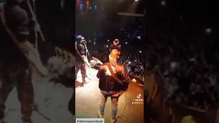 Nestor  bloque en vivo