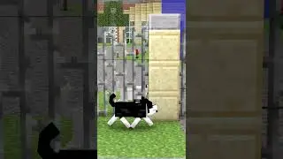 When the dog sings and sees Steve! 😂