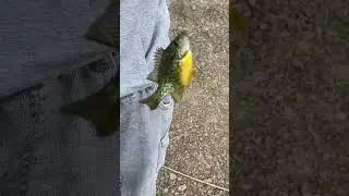 20 мая 2024 г.