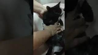 gözəlçə çimir😃😃
