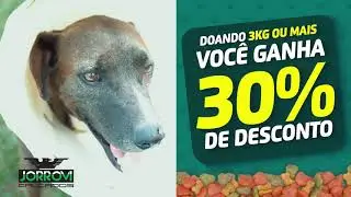 CAMPANHA MIAUJUDA