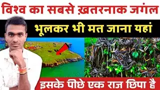 Snake Island : विश्व का सबसे खतरनाक जंगल ! Snake Island of Brazil ! Anoop Ka Safar