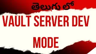 Vault Server Dev Mode 