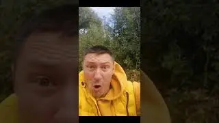 Паровозик томас ЕХЕ в реальной жизни #shorts