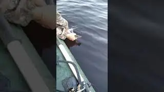 2 января 2021 г.(1)