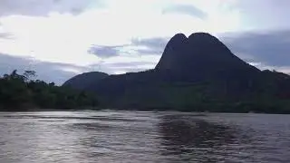 Arriving in Mavecure