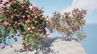 Pomegranate fruit tree 3d animation with unreal and 3d files