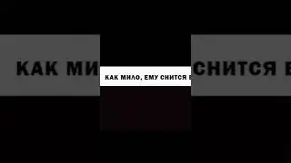 первый арест 