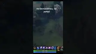 жалко парнишку конечно , но это из-за вардов! #dota2 #дота2 #memes #мем #shadowraze #dotawtf #gaming