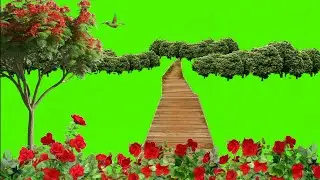 💚Green Screen Beautiful Garden Flower / Green Screen Nature Background / Green Screen Jungle Effect