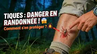 TICK ALERT! MY FOOLPROOF TIPS FOR STRESS-FREE NATURE ADVENTURES