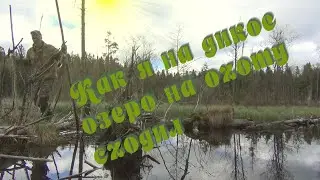 Как я на дикое озеро на охоту сходил