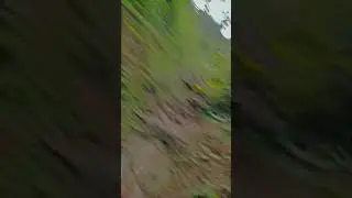 IAM GOING TO JUNGLE 🙄 #shortsvideo #youtubeshorts