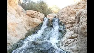 עין בוקק  Ein Bokek
