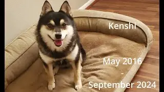 Kenshi Memorial