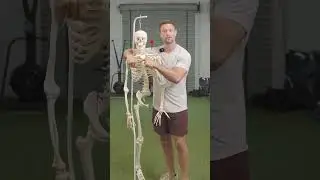 Why You Have One Lower Shoulder (fix it with this) #posture #posturecorrection #shoulderpain