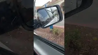 Just normal vans