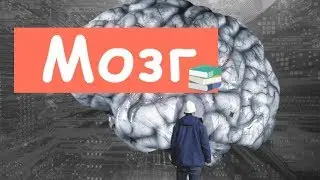 Вот, Из Чего Состоит Мозг!